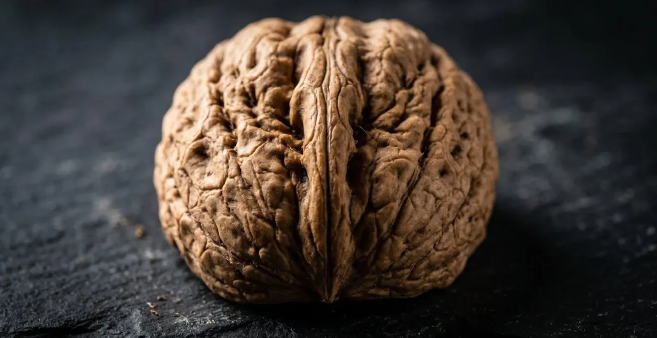 Macro fotografía de nueces abiertas mostrando su textura similar a un cerebro con luz dramática
